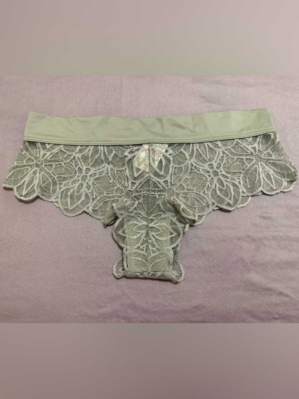 PINK Victoria's Secret Lace Hipster Panty - Sage Green